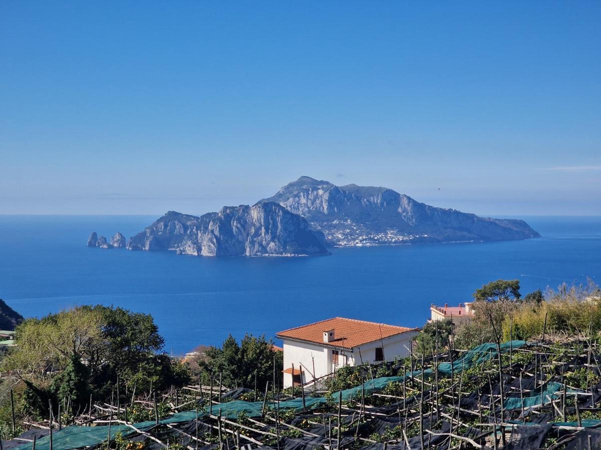 Holiday home Casa Gelinda Tra Sorrento E Positano Termini